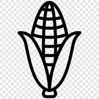 cornmeal, cornstarch, maize, field icon svg