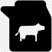 cow, lactation, dairy, cow milk icon svg