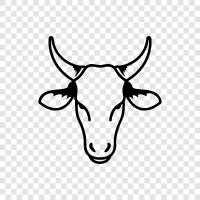 cow heads, beef head, head beef, cow head ste icon svg
