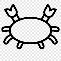 Crab fishing, Crabbing, Crabmeat, Crab Recipes icon svg