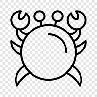 crabbing, crabmeat, crab claws, crab legs icon svg