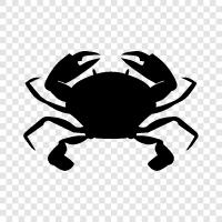 crabbing, crabbing gear, crab pot, crab traps icon svg