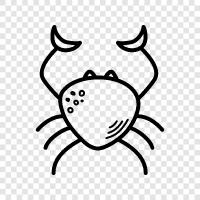 crabbing, crabmeat, crabbing season, crab traps icon svg