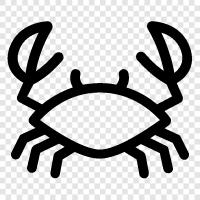 Crabcake, Crabmeat, Crabapple, Crabtree icon svg