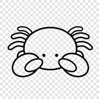 Crabmeat, Crab Legs, Crab Meat, Crab Claws ikon svg