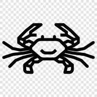 Crabmeat icon