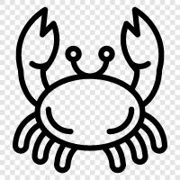 Crabmeat, Crab Legs, Crab Claw, Crabmeat Cr icon svg