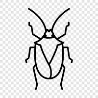 creepy crawlies, flying insects, beetles, butterflies icon svg
