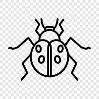 creepy crawlies, bugs, bugs bunny, bug zapper icon svg
