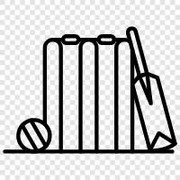 Cricket icon svg