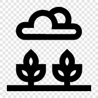 crops, farming, soil, fertilizers icon svg