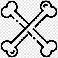 crossbow, bow, arrow, skeleton icon svg