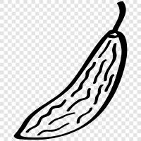 cucumber, gourd, bitter, vegetable icon svg