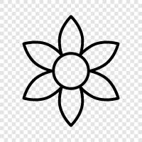 cute, pretty, beautiful, Flower icon svg