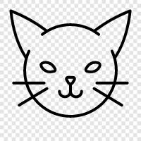 cute, funny, purr, sleepy icon svg