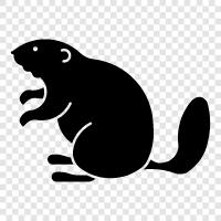 cute, furry, animal, animal porn icon svg