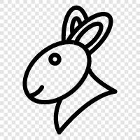 cute, cuddly, house rabbit, pet rabbit icon svg