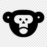 cute monkey, funny monkey, cartoon monkey, funny pictures of monkeys icon svg