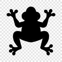 cute, amphibian, tadpole, frogspawn icon svg