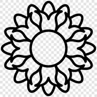 Dahlia, Dahlias, flowers, flowers Dahlias icon svg