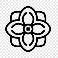 Dahlia, Dahlias, Blume, Blumengarten symbol