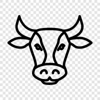 dairy, beef, milk, farming icon svg