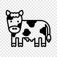 dairy cow, beef cow, dairy cow farming, beef cattle icon svg