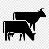 dairy, milk, cheese, farming icon svg