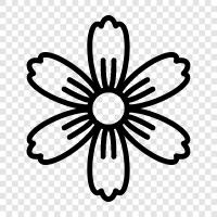 daisy, flowers, white, yellow icon svg