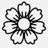 daisy, flower, beautiful, yellow icon svg