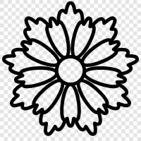 daisy, flower, blooming, yellow icon svg