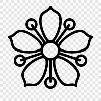 daisy, flower, yellow, petals icon svg