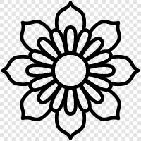 daisy, flowers, white, yellow icon svg