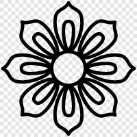 daisy, wildflower, field, spring icon svg