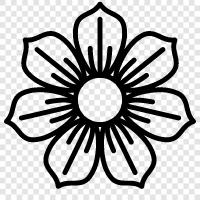 daisy, flowers, nature, wildflowers icon svg