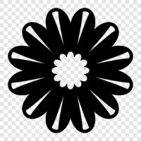 daisy, flowers, garden, plants icon svg