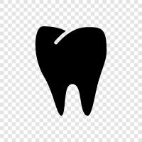 Damage, Teeth, Gums, Dentist icon svg