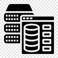 data, data management software, data entry, data entry software icon svg