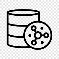 data, information, sql, table icon svg