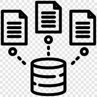 database management system, database design, database development, database administrator icon svg