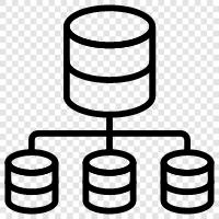 database, server, architecture, network icon svg