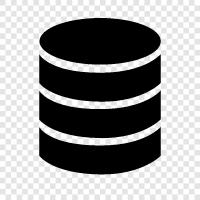 database system, sql, sql server, mysql icon svg