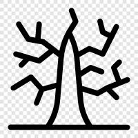 Toter Baum symbol