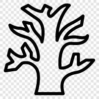 toter Baum, sterbender Baum, brauner Baum, toter brauner Baum symbol