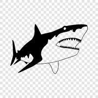 deadly, dangerous, apex predator, ocean icon svg