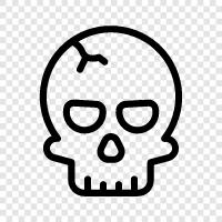 death, skulls, bone, skeletons icon svg