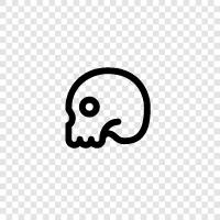 death, skull decoration, death head, death head ornament icon svg