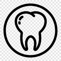 decay, gum disease, cavities, Tooth icon svg