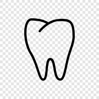 decay, toothache, gum disease, cavities icon svg