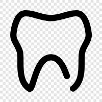 Decay, Gum Disease, Dental, Teeth icon svg
